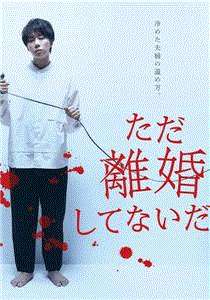 只是没离婚而已