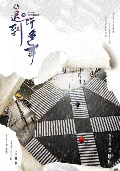 你迟到的许多年网络版