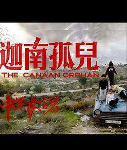 中东大宝荐2：迦南孤儿