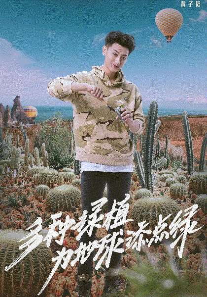 小小的追球