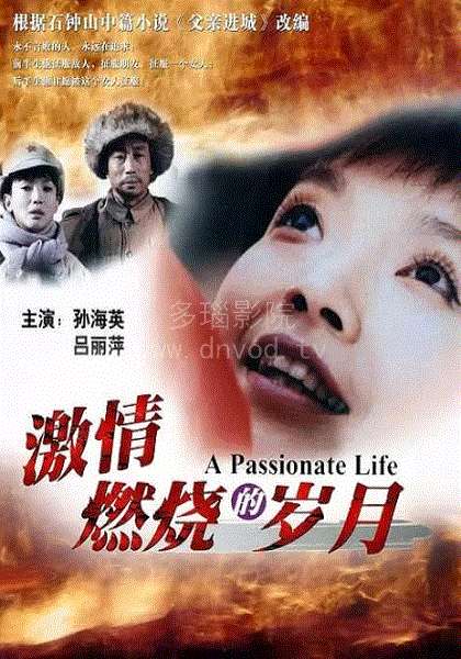 激情燃烧的岁月